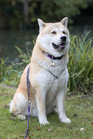Nala25-4