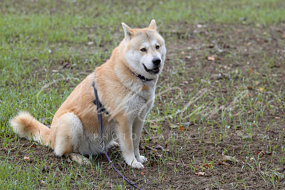 Nala25-9