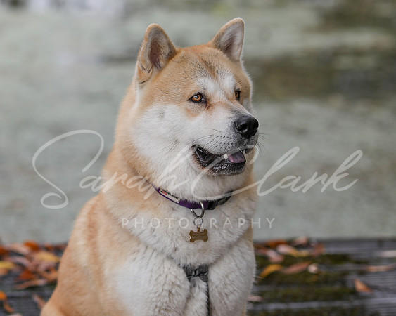 Nala25-18
