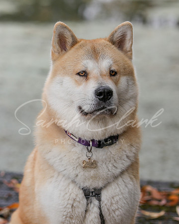 Nala25-22