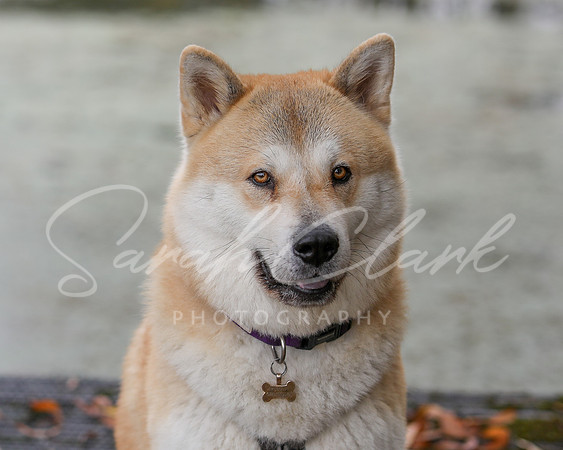 Nala25-23