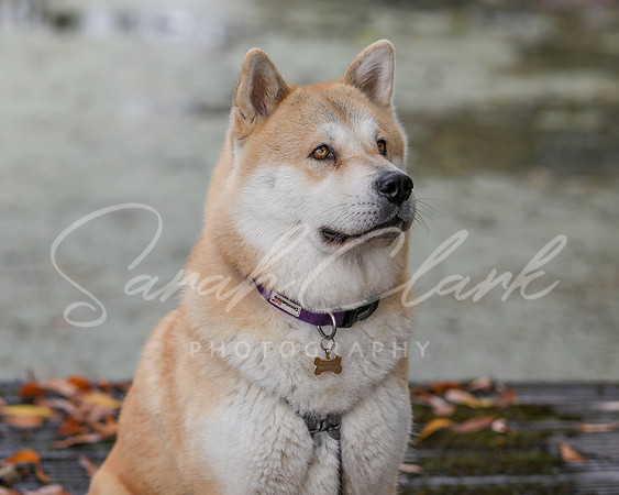Nala25-21