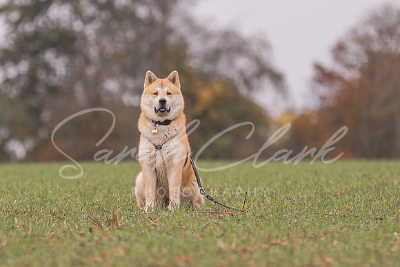 Nala25-32