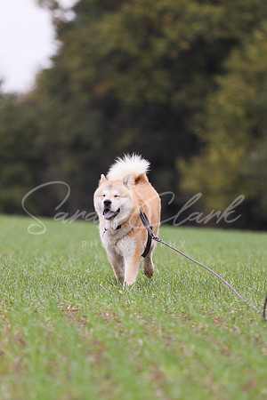 Nala25-43