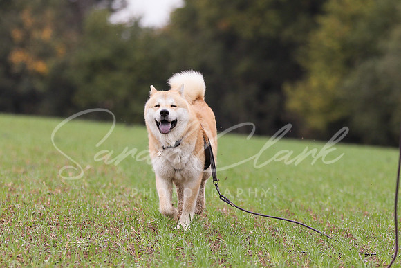 Nala25-45