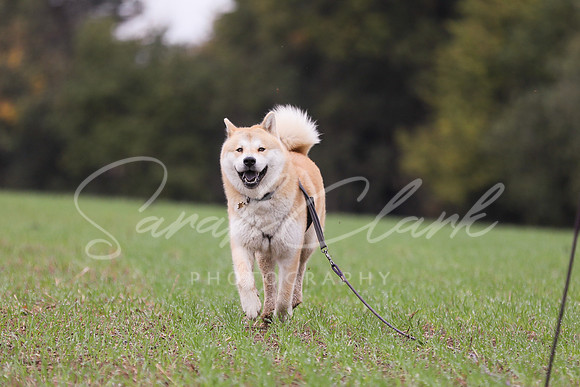 Nala25-44