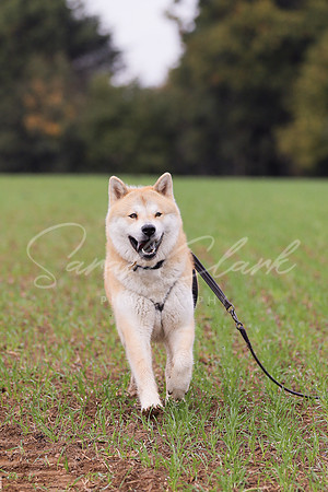 Nala25-47