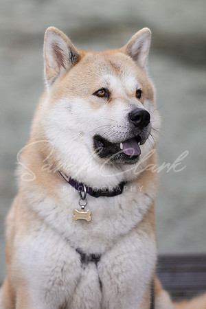 Nala25-50