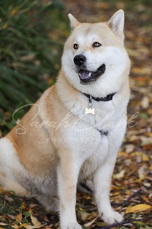 Nala25-51