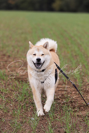Nala25-49