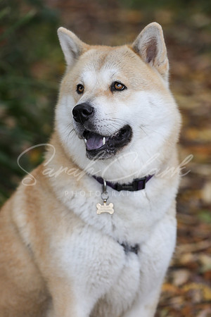 Nala25-55