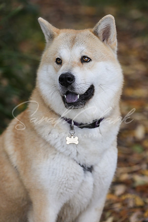 Nala25-54