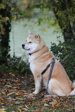Nala25-56