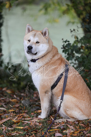 Nala25-59