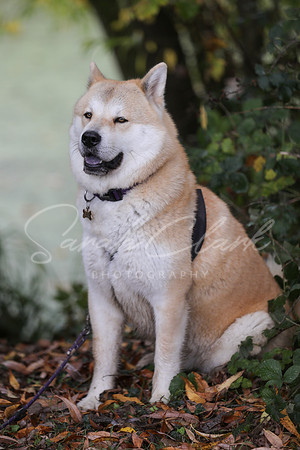 Nala25-60