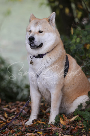 Nala25-65