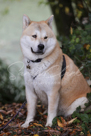 Nala25-67