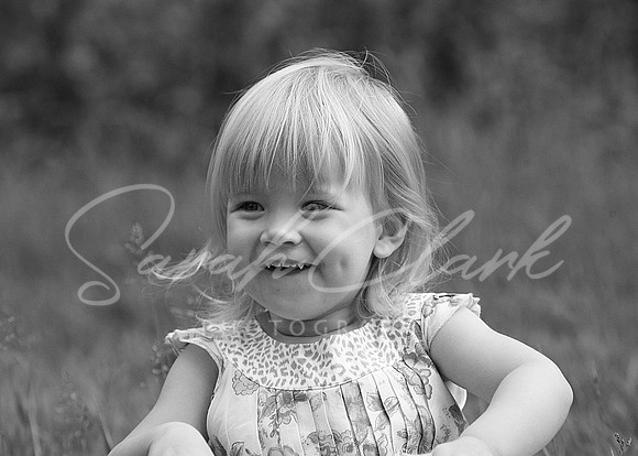 IMG_8185 copy