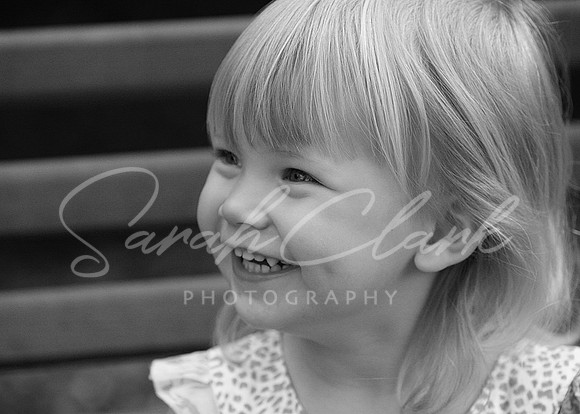 IMG_8179 copy
