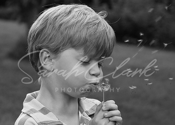 IMG_8153 copy