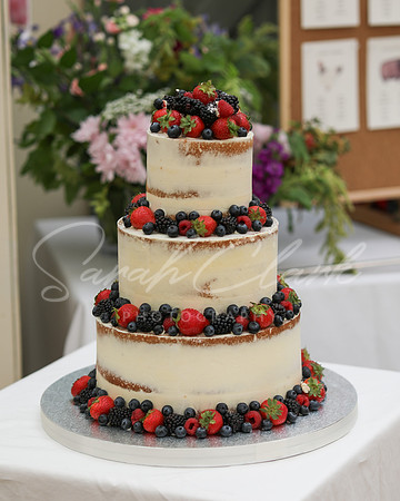 TommieAlexWeddingAug26-311
