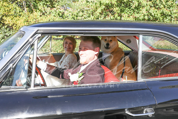 KirstyDomWedding26-350