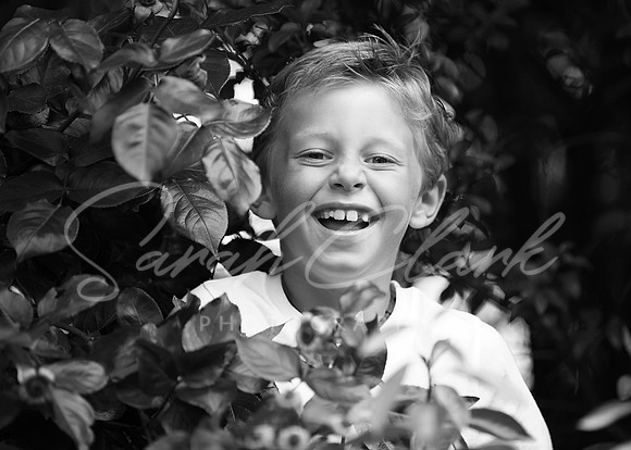 IMG_4635copy