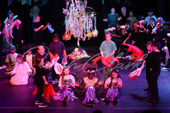STBarnPeterPan24-100