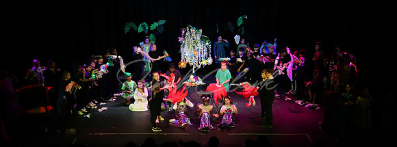 STBarnPeterPan24-90