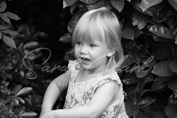 IMG_8176 copy