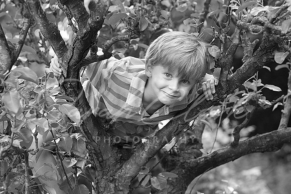 IMG_8151 copy