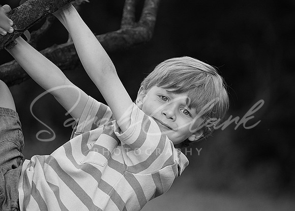 IMG_8149 copy