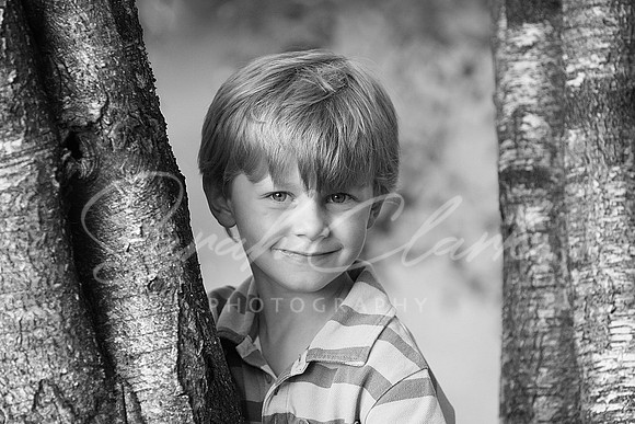 IMG_8145 copy