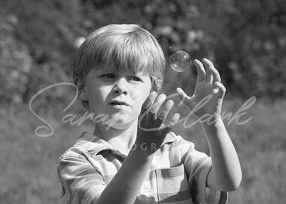 IMG_8169 copy
