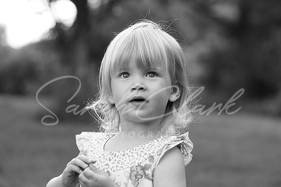 IMG_8150 copy