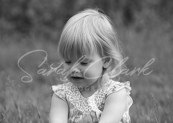 IMG_8187 copy