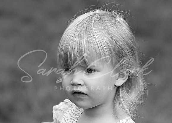 IMG_8189 copy