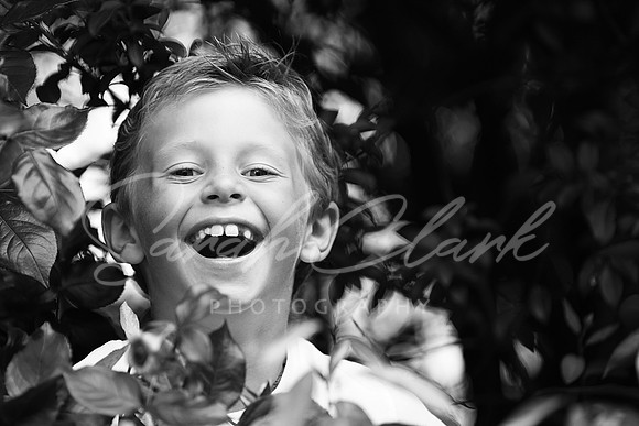 IMG_4638copy