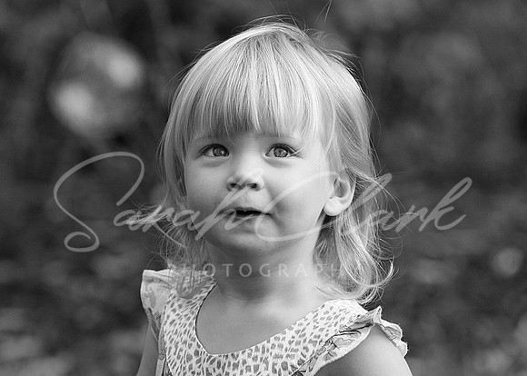 IMG_8135 copy