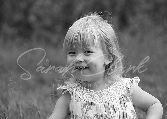 IMG_8184 copy