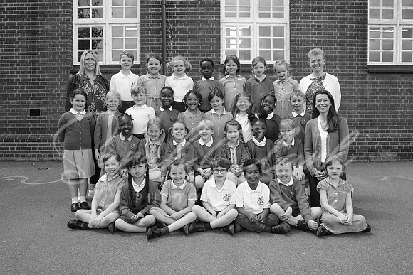 ShalfordPineClass24-1