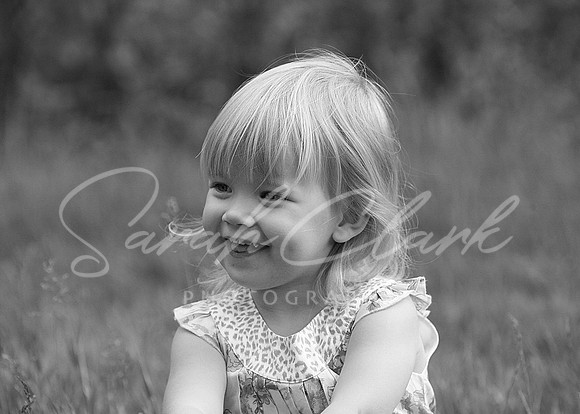IMG_8186 copy