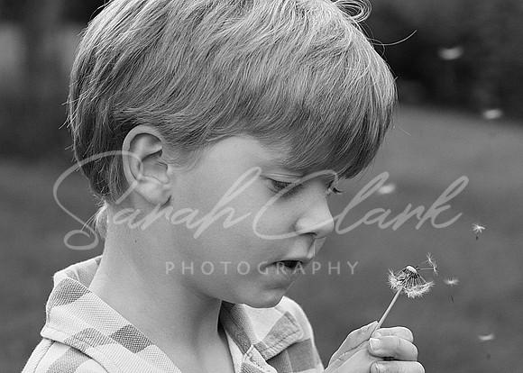 IMG_8154 copy