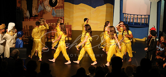 BeechwoodAladdin25-212