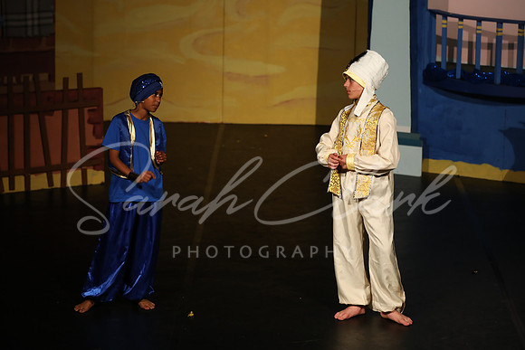 BeechwoodAladdin25-208