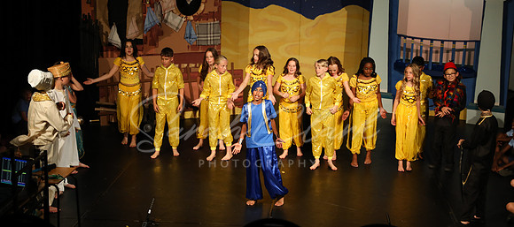 BeechwoodAladdin25-202