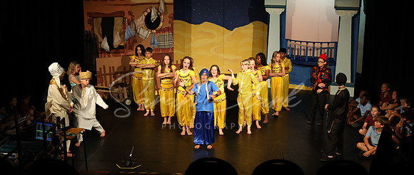 BeechwoodAladdin25-201
