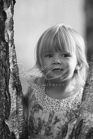 IMG_8148 copy