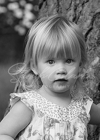 IMG_8142 copy