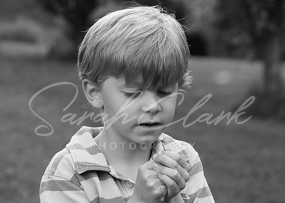 IMG_8155 copy